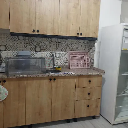 Avci