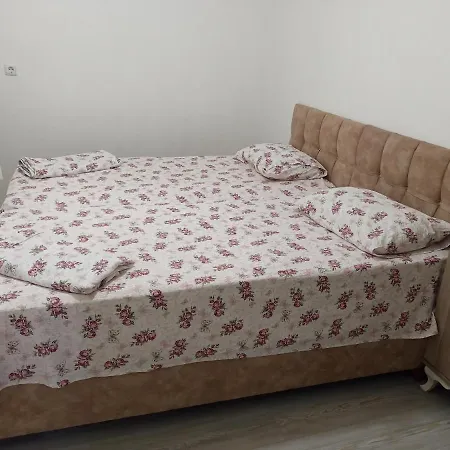 شقة Avci *
