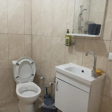 Avci *